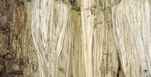 mythic-celluar-to-cave-explorer-package-3