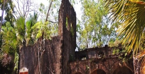 mythic-classic-and-andaman-discovery-package-3